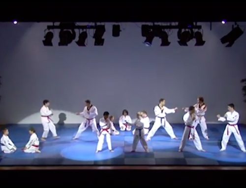Taekwondo Demo Gala der Gevechtskunsten 2015